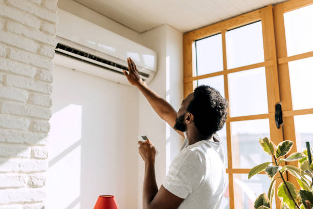 Best HVAC air duct cleaning  in Magnolia Springs, AL